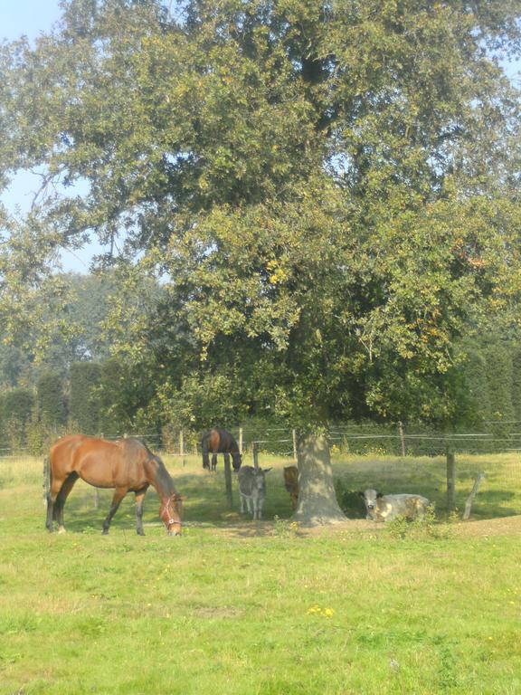 Farm Stay Luythoeve Meeuwen Bagian luar foto