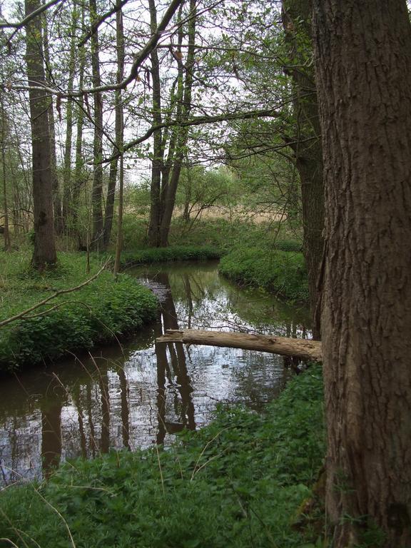 Farm Stay Luythoeve Meeuwen Bagian luar foto