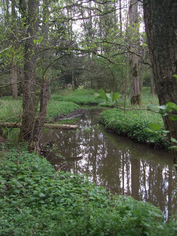 Farm Stay Luythoeve Meeuwen Bagian luar foto